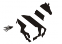 Zebra Driving School Logo
